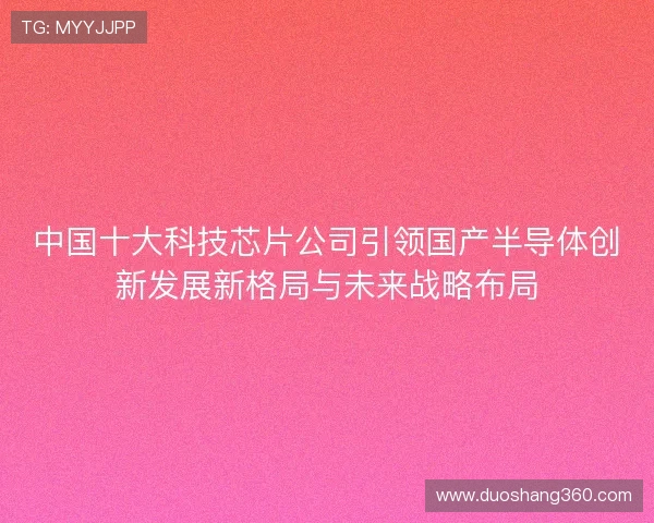 中国十大科技芯片公司引领国产半导体创新发展新格局与未来战略布局