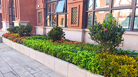 Agin games��(�й�)���޹�˾����